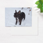 甘い黒いブフランスのルドッグは雪が好き (デスク)