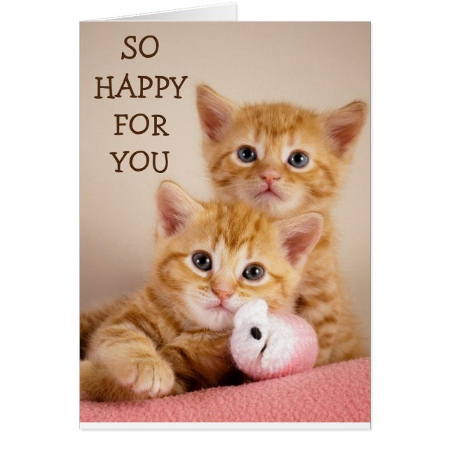 甘い「子猫」の「採用」おめでとう (正面)