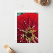 甘い《植物》百日草 ノートカード (正面/裏面インサイチュ)