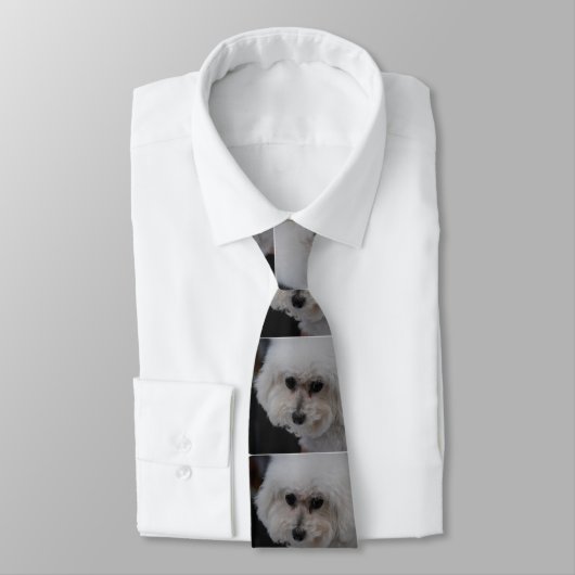 甘いBichon Frise ネクタイ (タイ)