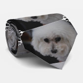甘いBichon Frise ネクタイ (ロール)