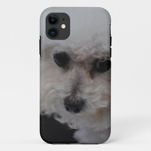 甘いBichon Frise Case-Mate iPhoneケース (裏面)