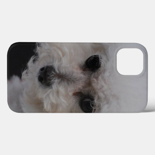 甘いBichon Frise Case-Mate iPhoneケース (裏面 (横))