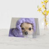 甘いMinxの挨拶状(文字無し) カード (黄色い花)