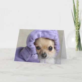 甘いMinxの挨拶状(文字無し) カード