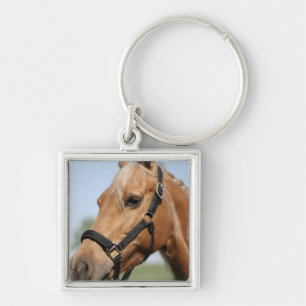 甘いPalomino Keychain キーホルダー