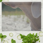 甘いWeimaraner犬のプロフィール キッチンタオル (折り畳み)