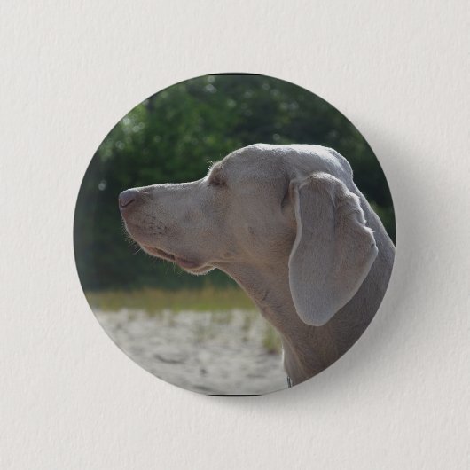 甘いWeimaraner犬のプロフィール 缶バッジ (正面)