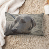 甘いWeimaraner ランバークッション (ブランケット)