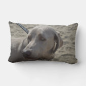 甘いWeimaraner ランバークッション (裏面)