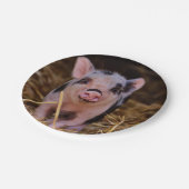 甘くかわいいブタ ペーパープレート (アングル)