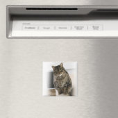 甘くて可愛い猫フレンドリー磁石 マグネット (インサイチュ (食洗機))