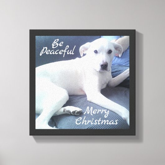 甘くて穏やかで可愛い白犬とパパ缶 キャンバスプリント (正面)