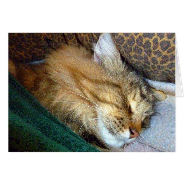 甘く夢見ること (正面横)