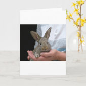 甘く小さいウサギ カード (黄色い花)