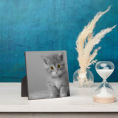 甘く小さい子ネコ フォトプラーク (インサイチュ)