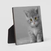 甘く小さい子ネコ フォトプラーク (正面)