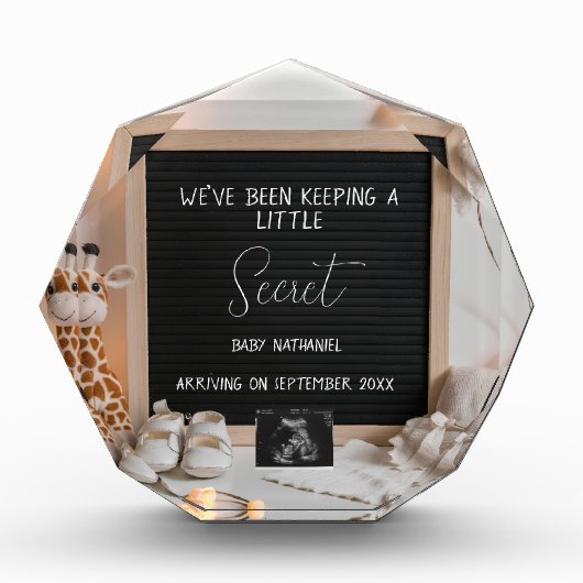 甘く座っているキリン妊娠の発表 フォトブロック (正面)