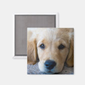 甘く甘い子犬 マグネット (正面/裏面)