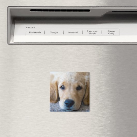 甘く甘い子犬 マグネット (インサイチュ (食洗機))