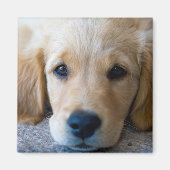 甘く甘い子犬 マグネット (正面)