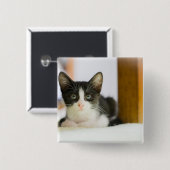 甘く白くおよび黒い子ネコ 缶バッジ (正面&裏面)