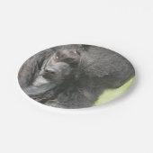 甘く黒いプードル ペーパープレート (アングル)