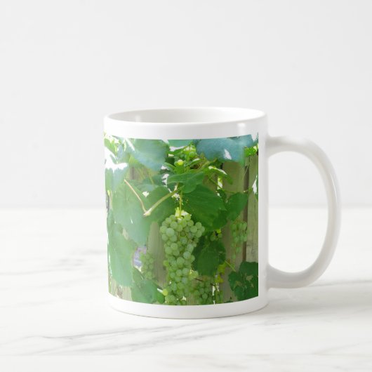 甘く、水分が多く白い種なしブドウ コーヒーマグカップ (右)