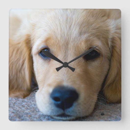 甘く、甘い子犬 スクエア壁時計 (正面)