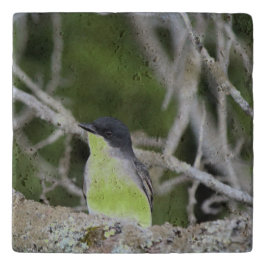 甘さが鳥の腹の色を変える トリベット