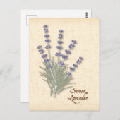 甘カスタマイズラベンダー葉書 ポストカード (正面/裏面)