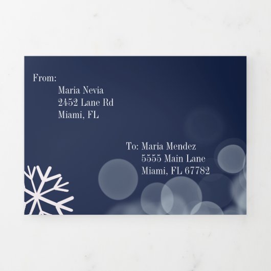 甘モダンい16散在する雪の結晶《写真》ぼけ味灯 三つ折り招待状 (カバー)