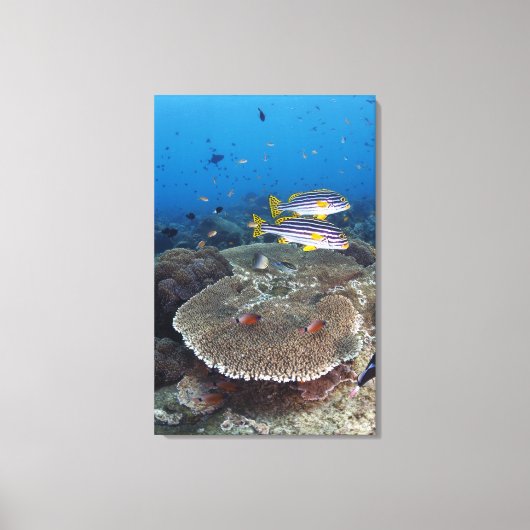 甘口魚 キャンバスプリント (正面)