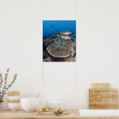 甘口魚 ポスター (キッチン)