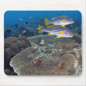 甘口魚 マウスパッド (正面)