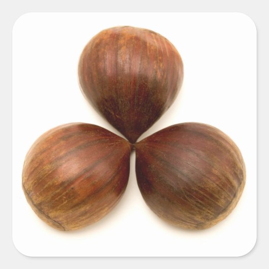 甘栗 スクエアシール (正面)