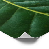 甘栗 ポスター (角)