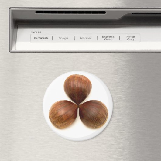 甘栗 マグネット (インサイチュ (食洗機))