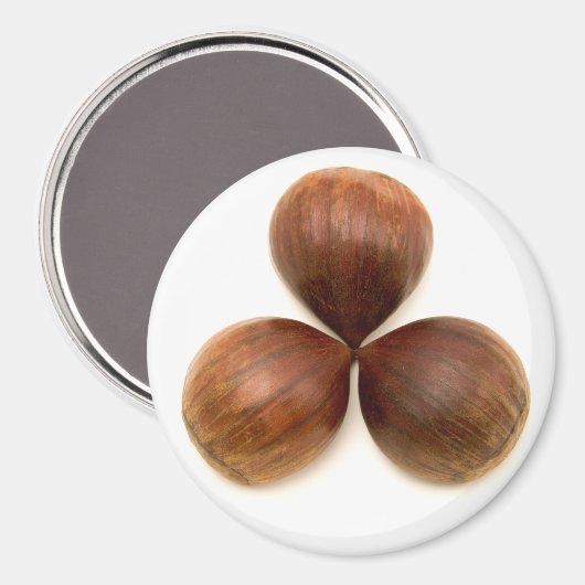 甘栗 マグネット (正面/裏面)