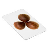 甘栗 マグネット (右側)