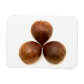 甘栗 マグネット (横)