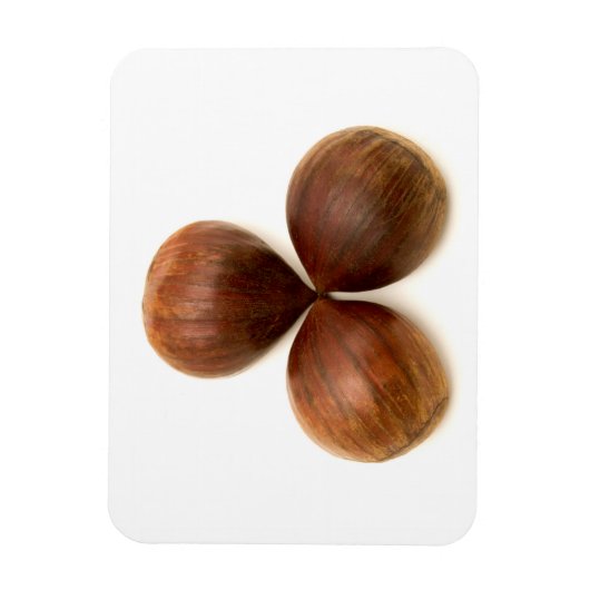 甘栗 マグネット (縦)