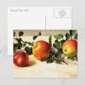 甘美なリンゴ ポストカード (正面/裏面)