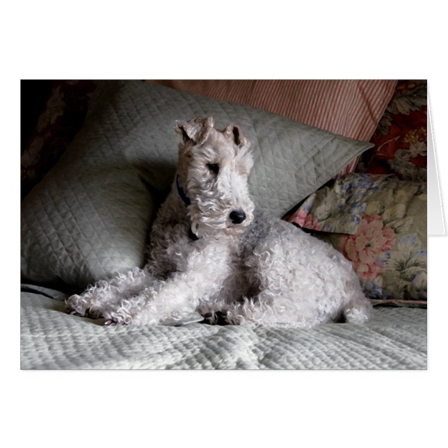 甘美な夢 (正面横)