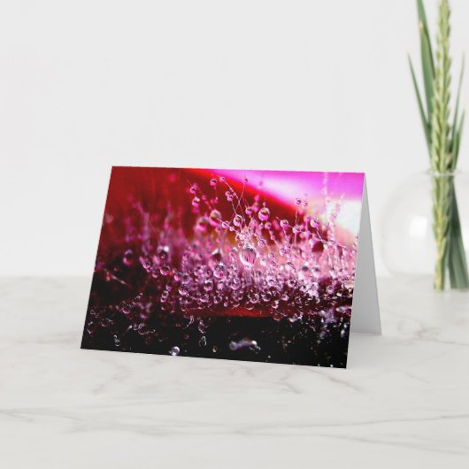 甘美な挨拶状 カード (正面)