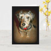 甘考えい犬 カード (黄色い花)