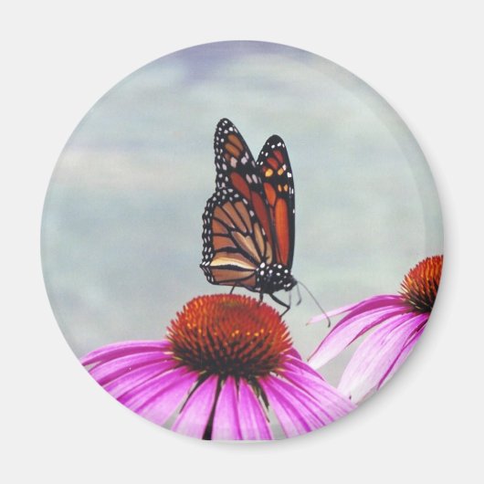 甘酢 – マグネット (正面)