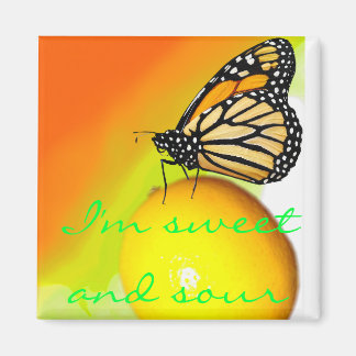 甘酸っぱい磁石 マグネット