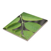 生かわいらし緑の夏の灰の木葉の タイル (側面)