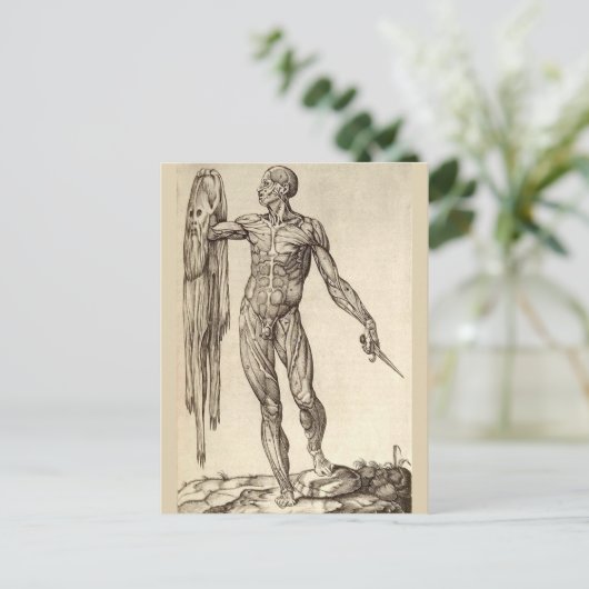 生きたまま皮を剥ぐ ポストカード (スタンド正面)